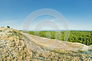 Beautiful landscape, dunes, wood and sea