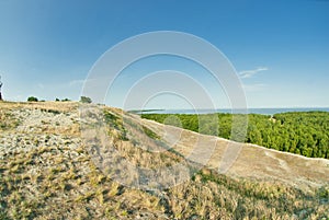 Beautiful landscape, dunes, wood and sea