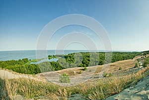 Beautiful landscape, dunes, wood and sea