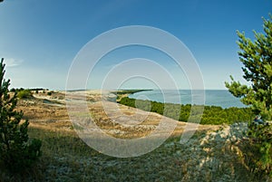 Beautiful landscape, dunes, wood and sea