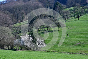 Beautiful landscape in early springtime in the Odenwald, Germany