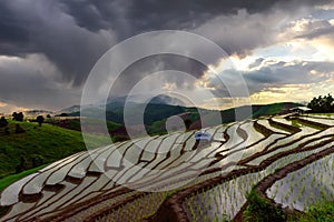 Beautiful landscape in the evening at Pa Bong Piang Rice Terraces homestay north chiangmai Thailand...