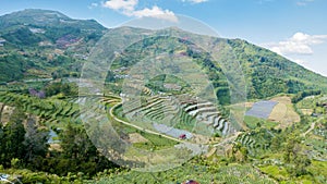 Beautiful landscape of farmland in Dieng