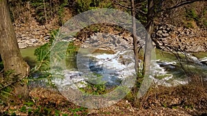 Beautiful landscape of fast water stream or river flowing in mountains through forest