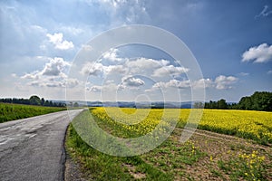 Beautiful landscape with fields and mountains
