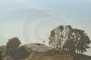 Beautiful landscape of a foggy morning with an old house and trees