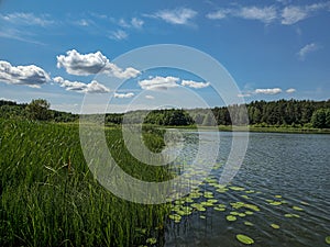 A beautiful landscape of forest lake