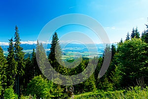 Beautiful landscape, forest and meadow and lake with mountain in background. Slovakia, Central Europe.