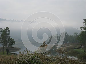 Beautiful landscape in the forest mountains majestic view Foggy Morning.