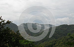 Beautiful landscape in the forest mountains majestic view Foggy Morning.