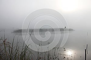 Beautiful landscape in the forest mountains majestic view Foggy Morning.