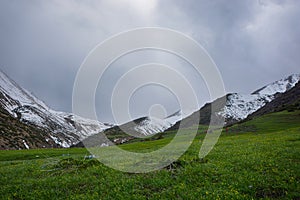 Beautiful landscape forest with rocks, fir trees and blue sky in mountains of Kyrgyzstan