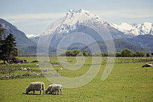 Beautiful landscape of Glenorchy, New Zealand