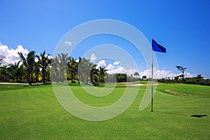 Beautiful landscape of a golf court with palm trees