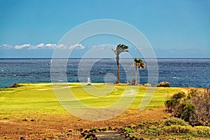 Beautiful landscape of a golf court with palm trees