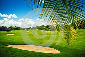 Beautiful landscape of a golf court with palm trees in Punta Can