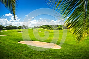 Beautiful landscape of a golf court with palm trees in Punta Can