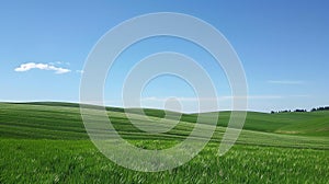 Beautiful landscape of green field, blue sky and white clouds