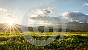 Beautiful landscape of a green field under a blue cloudy sky with sunlight