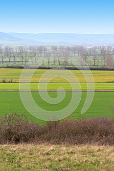 Beautiful landscape with green fields and blue sky