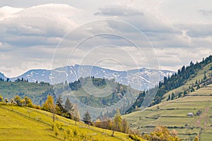 Beautiful landscape of green forested mountain range