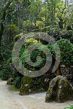 Beautiful landscape of a green garden, forests with large stones in moss, with paths. Sintra, Portugal
