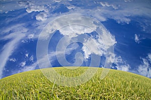 Beautiful Landscape green grass and dramatic blue sky