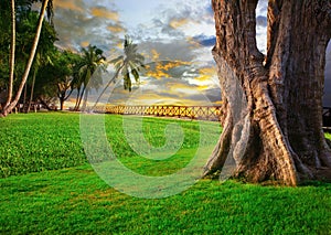 Beautiful landscape of green grass field park against dusky sky