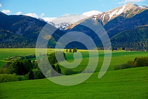 Beautiful landscape, green meadow with snow mountain in background. Slovakia, Central Europe.