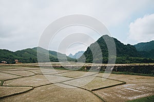 beautiful landscape with green mountains and paddy fields in Phong Nha Ke Bang National