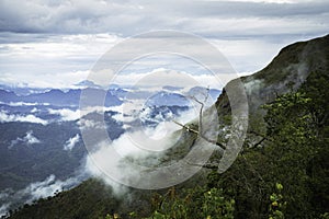 Beautiful landscape green tree and shadow on the river with blue sky clouds