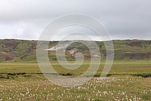 Beautiful landscape with green vale and hills. Selfoss, Iceland.