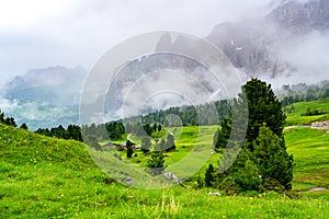 Beautiful landscape of the green valley at Sella Pass in South