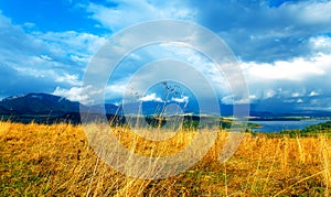 Beautiful landscape, green and yellow meadow and