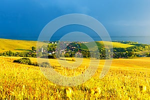 Beautiful landscape, green and yellow meadow and