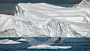 Beautiful landscape in Greenland with a humpback tail in the water