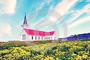 Beautiful landscape with Grundafjordur church and yellow flowers  near waterfall Kirkjufell