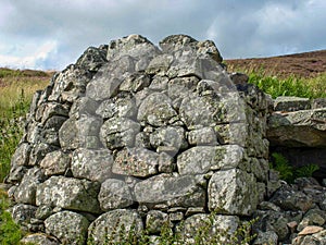 Beautiful landscape with heather field and old stone ruins