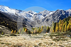 Beautiful landscape of high mountains with peak snow and autumn colorful forest Italy.