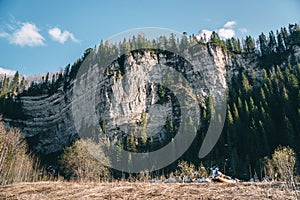 Beautiful landscape: high stone wall with forest growing on it