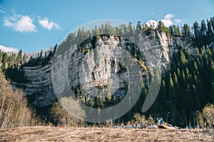 Beautiful landscape: high stone wall with forest growing on it