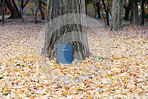 Beautiful landscape with Holy Bible outdoors in autumn with fallen yellow leaves