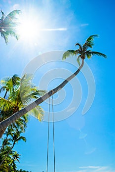 Beautiful landscape of Hon Thom beach, Phu Quoc island, Vietnam, Asia with tourist, chairs and umbrella. White sand and coco palms