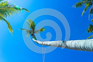 Beautiful landscape of Hon Thom beach, Phu Quoc island, Vietnam, Asia with tourist, chairs and umbrella. White sand and coco palms