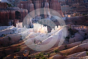 Beautiful landscape with hoodoos in the Bryce Canyon National Park