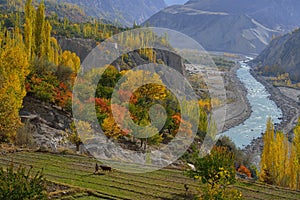 Beautiful Landscape of Hunza Valley in Autumn season.