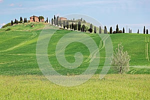 Beautiful landscape of idyllic Tuscany countryside in springtime, with a winding country road lined with cypress trees