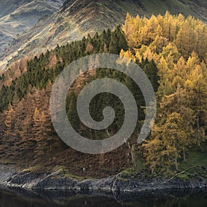 Beautiful landscape image of Autumn Fall with vibrant pine and larch trees against majestic setting of Hawes Water and High Stile