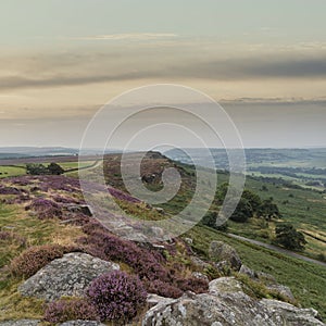 Beautiful landscape image of late Summer vibrant heather at Curbar Edge in Peak District National Park in England