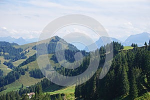 Beautiful landscape image of Swiss Alps and forest